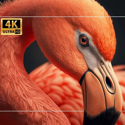 Mini Projecteur CineLumi