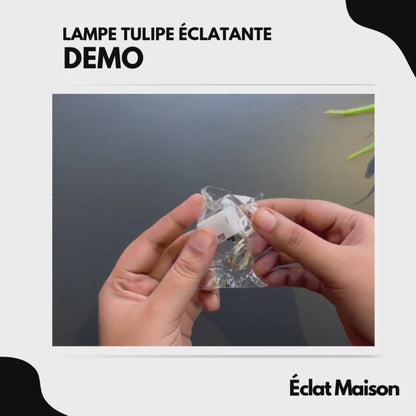 Lampe Tulipe Éclatante