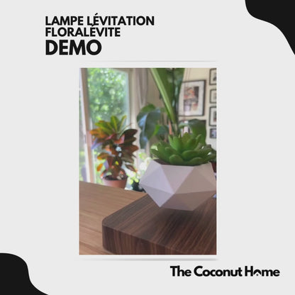 Lampe Lévitation FloraLévite